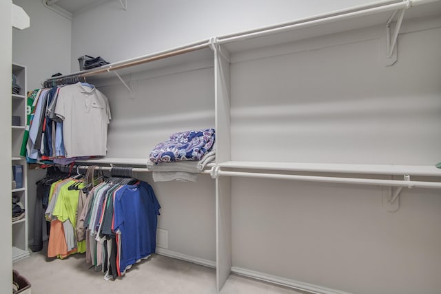 spacious closet featuring light colored carpet