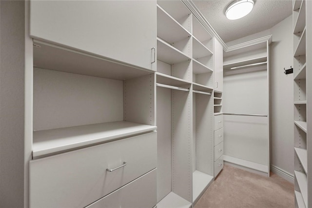 spacious closet with light colored carpet