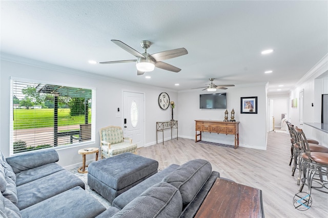 living room featuring ceiling fan, light hardwood / wood-style floors, and crown molding