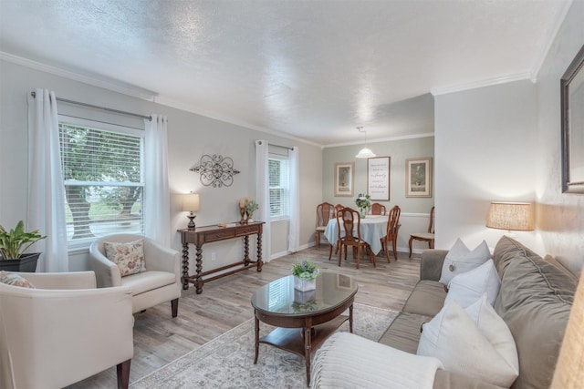 living room with a textured ceiling, crown molding, light hardwood / wood-style floors, and plenty of natural light