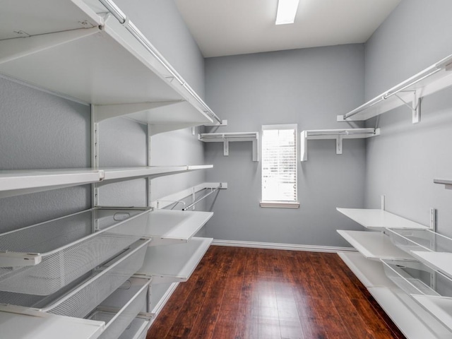 spacious closet featuring dark hardwood / wood-style floors