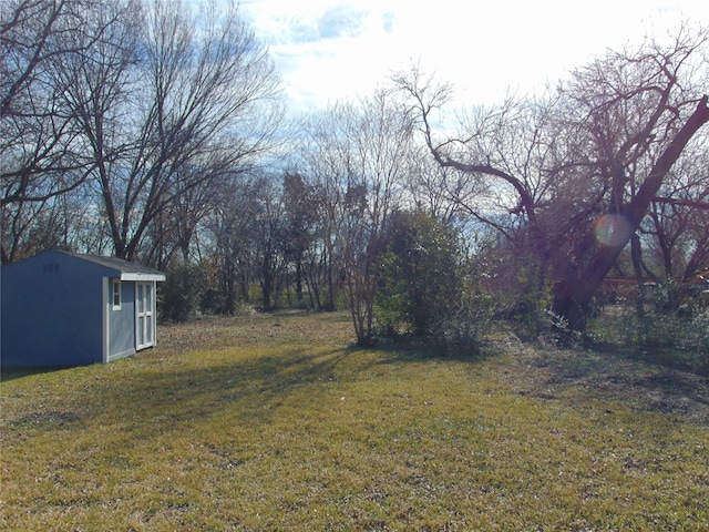 view of yard with a storage unit