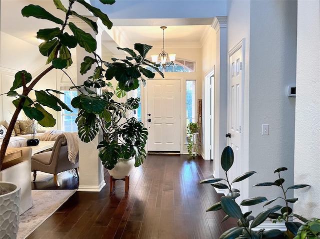 foyer featuring an inviting chandelier, crown molding, and dark hardwood / wood-style flooring