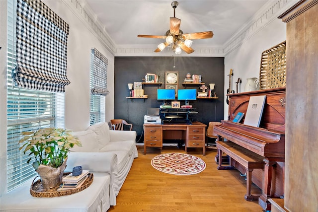 office area featuring ceiling fan, light wood-type flooring, and crown molding