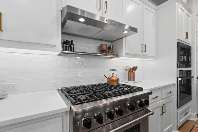 kitchen featuring white cabinetry, stainless steel appliances, ventilation hood, and tasteful backsplash