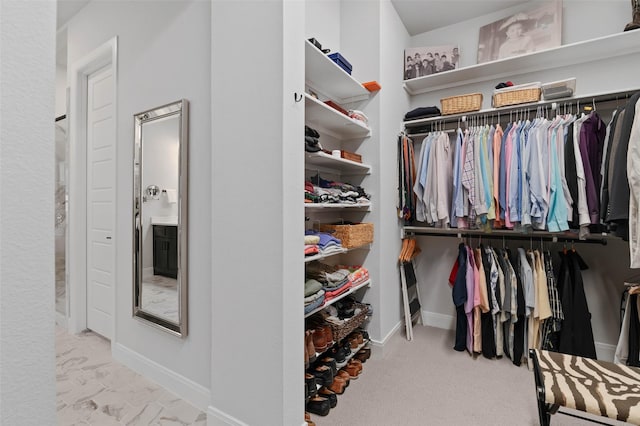 view of walk in closet