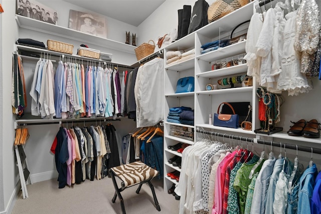 spacious closet with light colored carpet