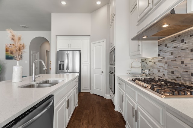 kitchen featuring white cabinets, stainless steel appliances, exhaust hood, and sink