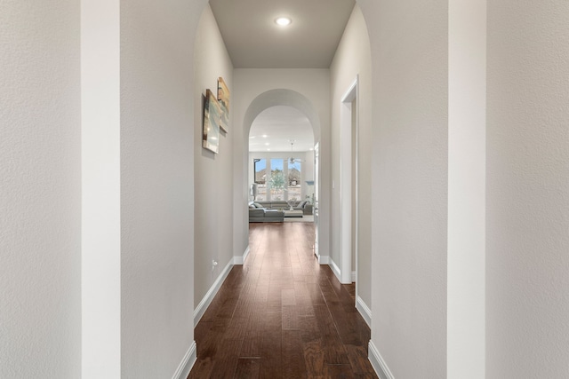 hallway featuring dark wood-type flooring