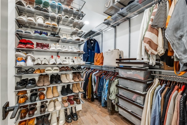 spacious closet featuring light wood-type flooring