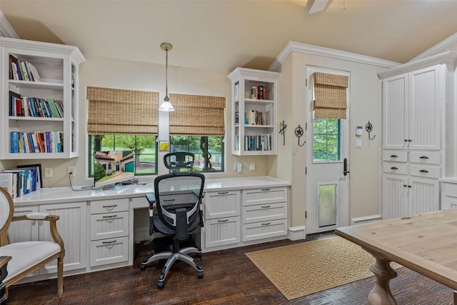 home office featuring built in desk, dark hardwood / wood-style floors, and plenty of natural light