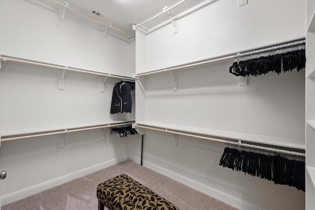 walk in closet with carpet