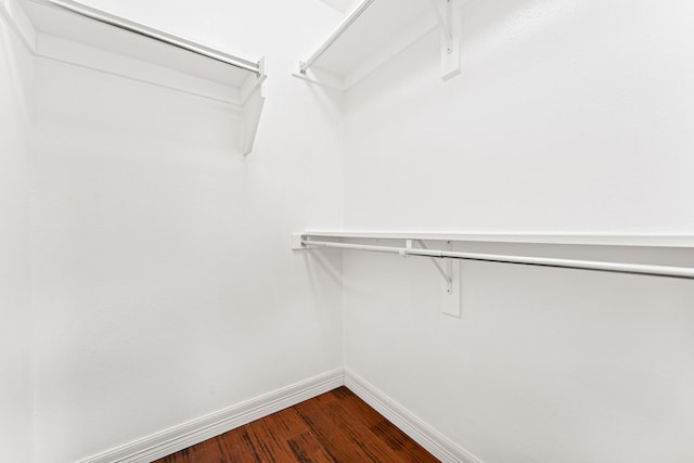 spacious closet featuring hardwood / wood-style flooring