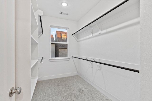 spacious closet with light colored carpet