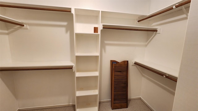 spacious closet featuring carpet floors