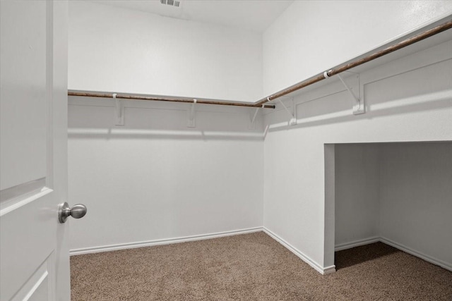 spacious closet with carpet