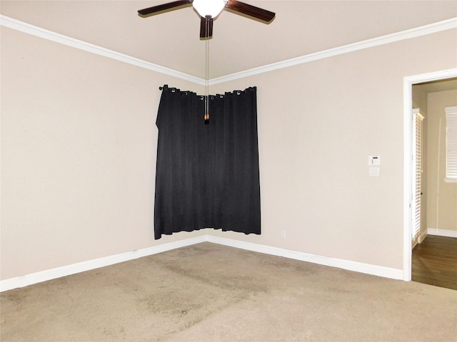 carpeted spare room with ceiling fan and ornamental molding