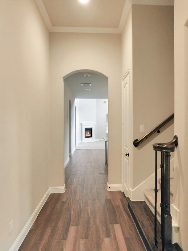 hallway featuring dark hardwood / wood-style flooring