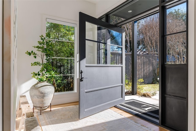 entryway featuring wood-type flooring and a wealth of natural light