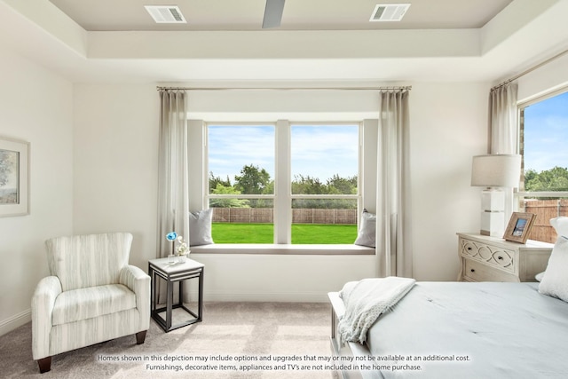 carpeted bedroom with a tray ceiling