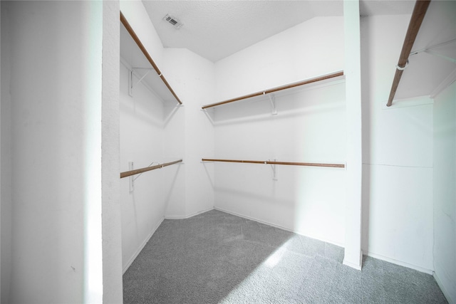 walk in closet with carpet