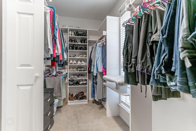 walk in closet with carpet flooring