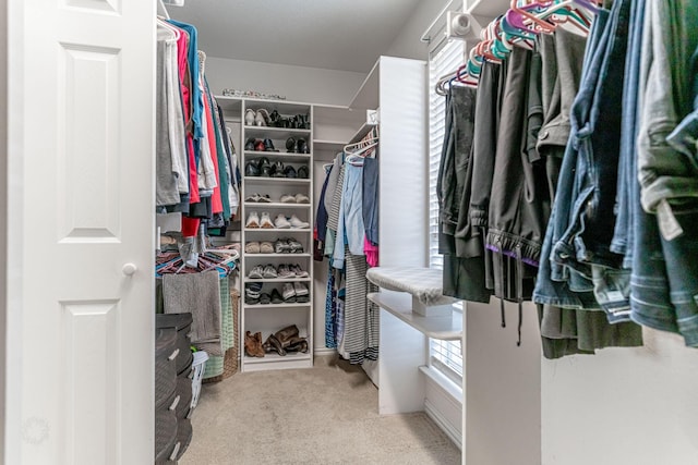 spacious closet featuring carpet