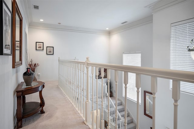 hall featuring ornamental molding and light carpet