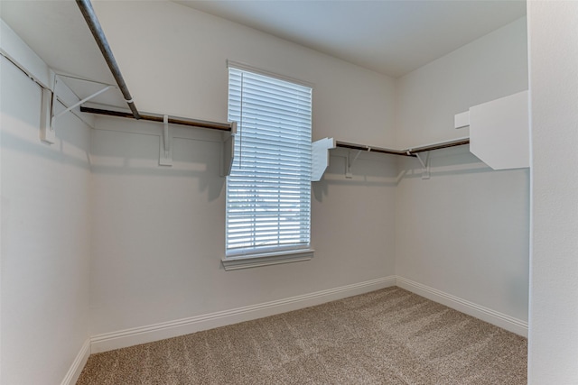 spacious closet with carpet