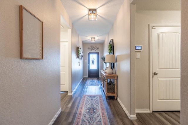 doorway with dark hardwood / wood-style flooring