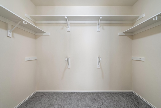 walk in closet with carpet