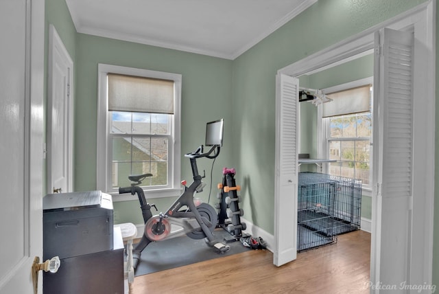 exercise area featuring crown molding and wood-type flooring