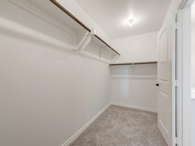 spacious closet featuring light carpet