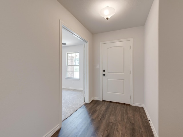 hallway featuring dark wood-type flooring