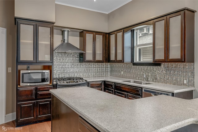 kitchen featuring stainless steel appliances, sink, wall chimney exhaust hood, light hardwood / wood-style floors, and dark brown cabinets