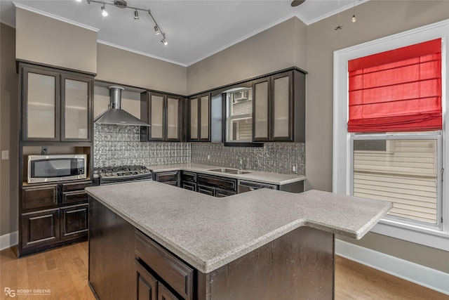 kitchen with stainless steel appliances, dark brown cabinets, and wall chimney exhaust hood