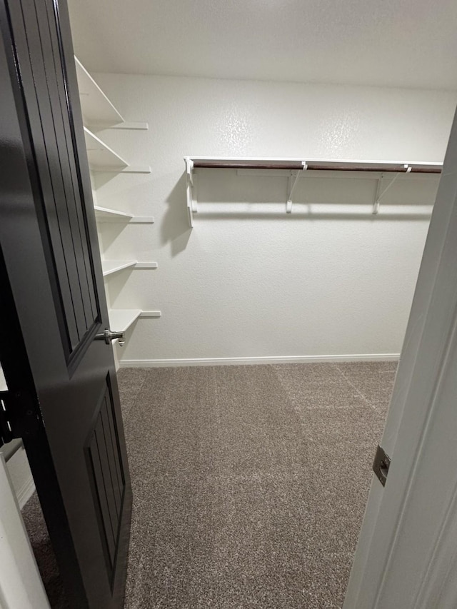 spacious closet featuring carpet flooring