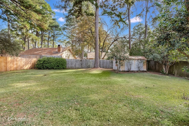 view of yard with a shed