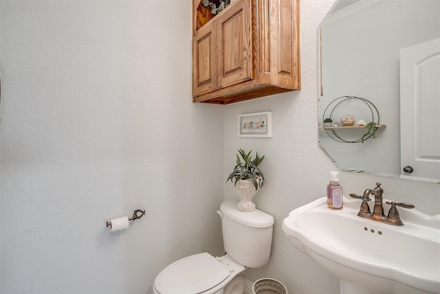 bathroom with sink and toilet