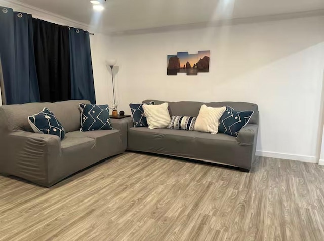 living room with crown molding and wood-type flooring