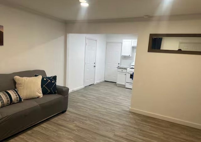 living room with ornamental molding and hardwood / wood-style floors