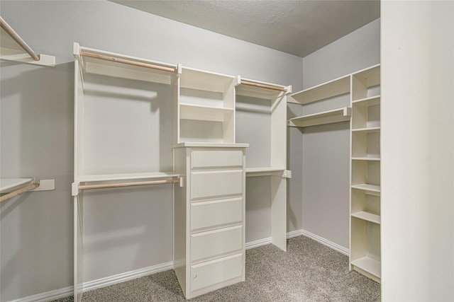 walk in closet featuring carpet floors