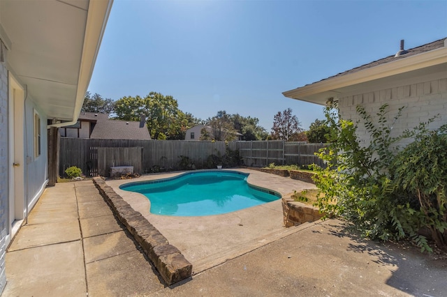 view of pool with a patio area