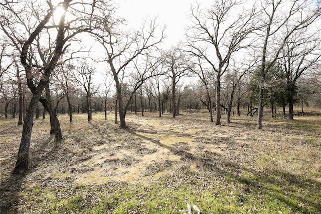 view of local wilderness