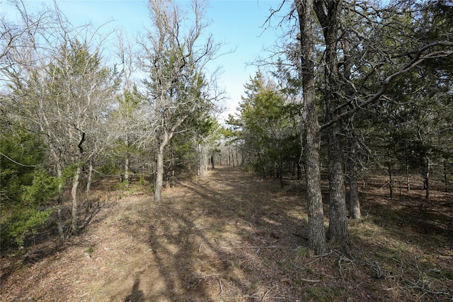 view of local wilderness