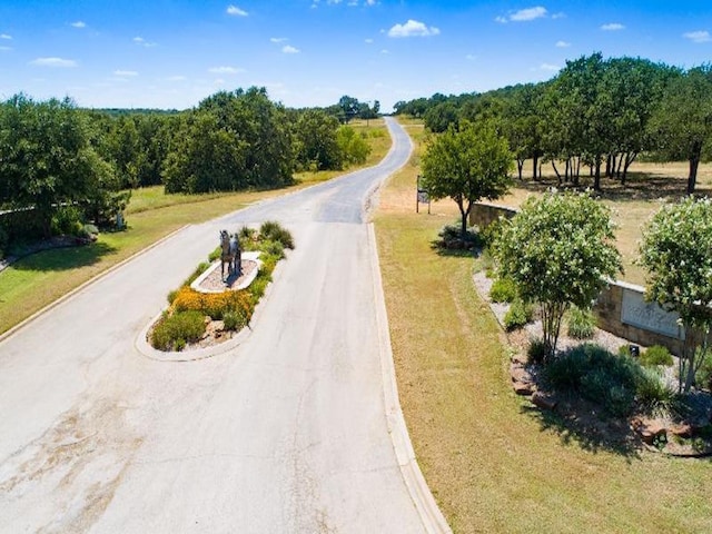 view of road with a rural view