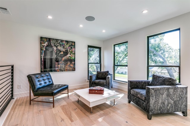 living area with light hardwood / wood-style floors and plenty of natural light