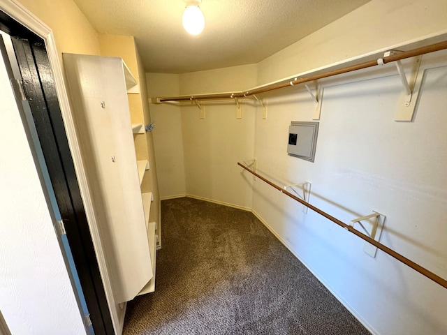 walk in closet with dark carpet and electric panel