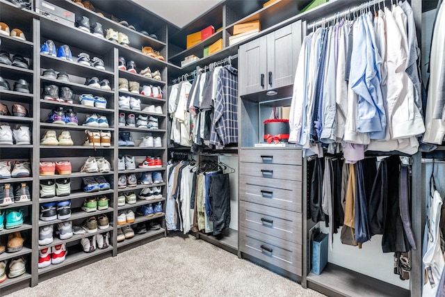 spacious closet with carpet