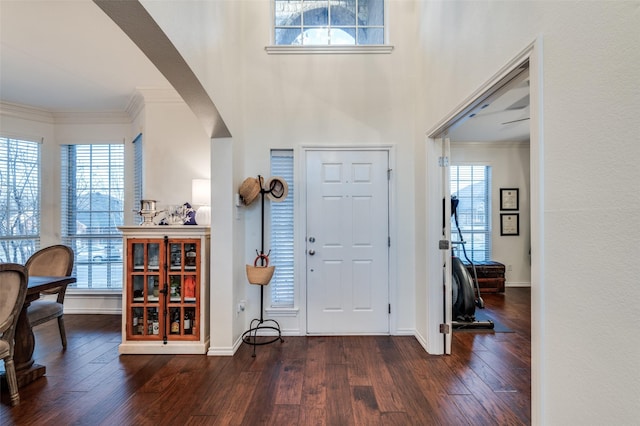 foyer with dark wood-type flooring, ornamental molding, and a healthy amount of sunlight